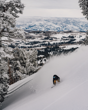 将图片加载到图库查看器,Arbor Annex Camber 单板